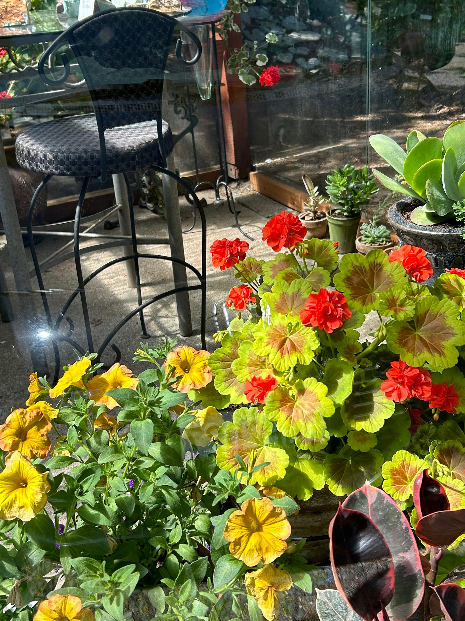 Flowers
