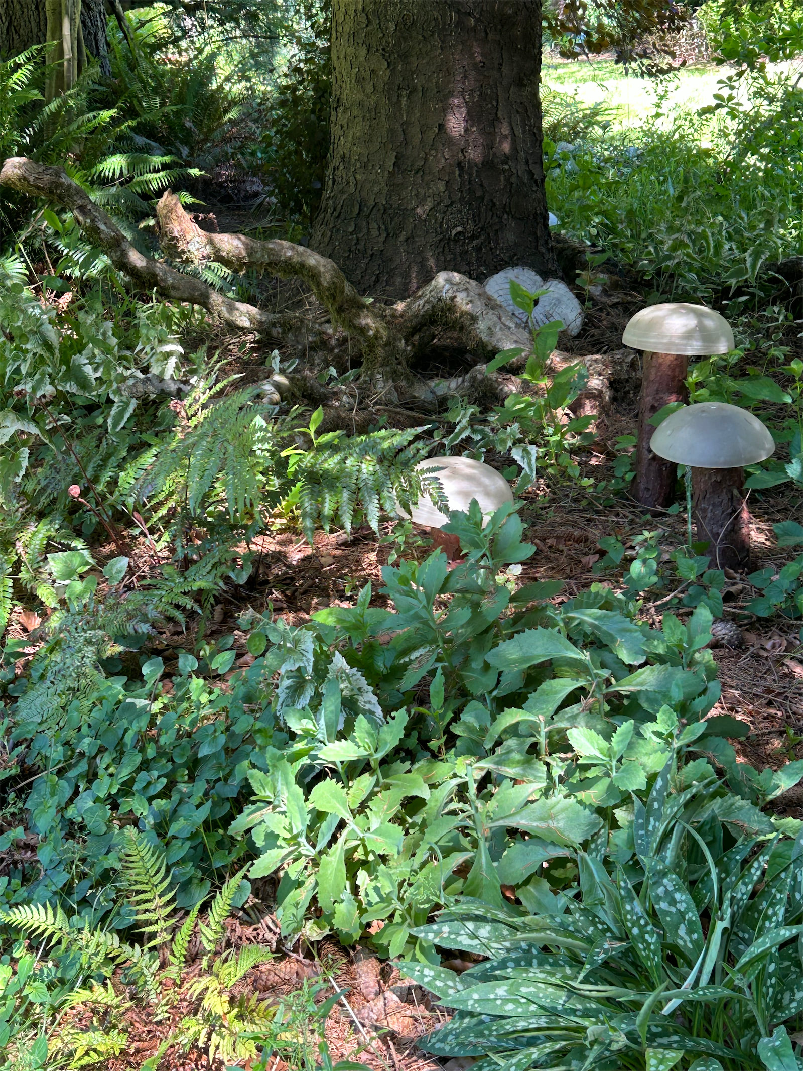mushroom lights