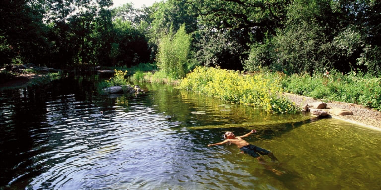 pond
